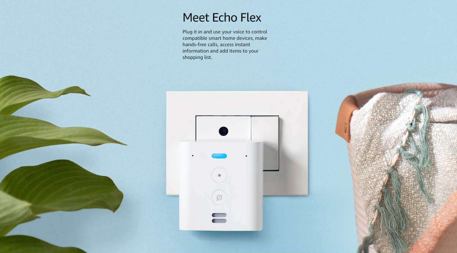 Echo Flex launched in India