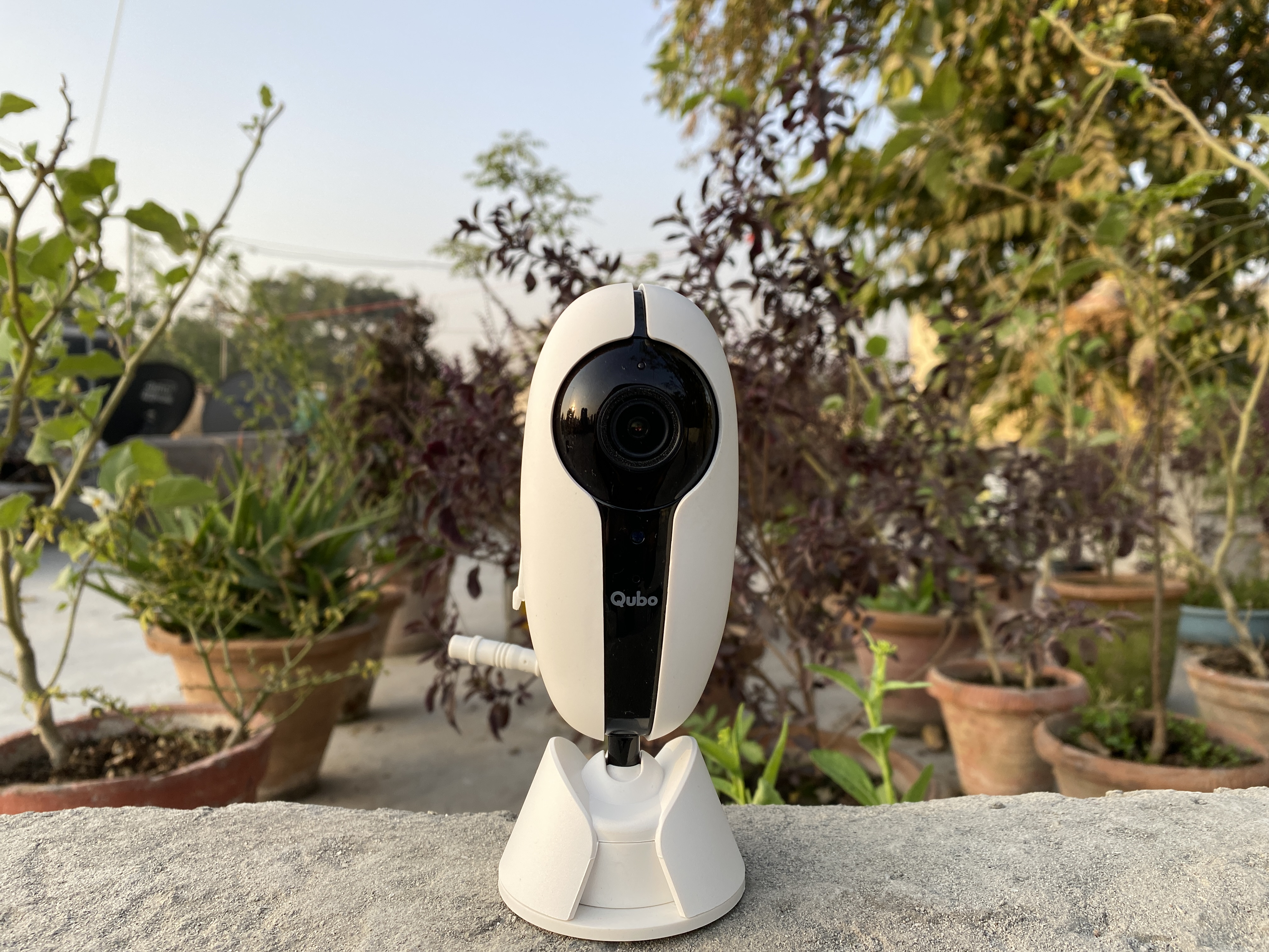 papalook camera