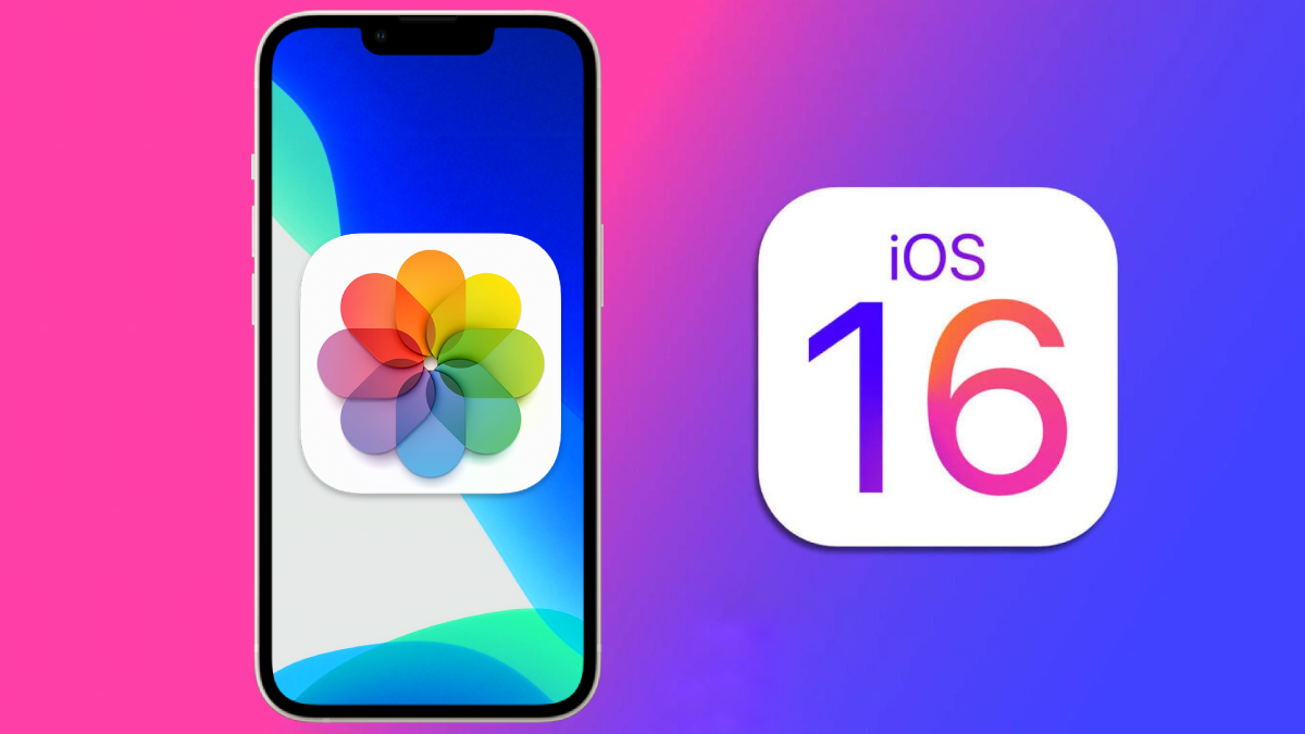 iPhone 14 cùng với iOS 16 sẽ mang đến cho bạn trải nghiệm sử dụng tuyệt vời với nhiều tính năng mới. Một trong số đó chính là xoá nền ảnh trên iPhone theo cách đơn giản và tiện lợi, không đòi hỏi bạn phải sử dụng các công cụ chỉnh sửa ảnh phức tạp.
