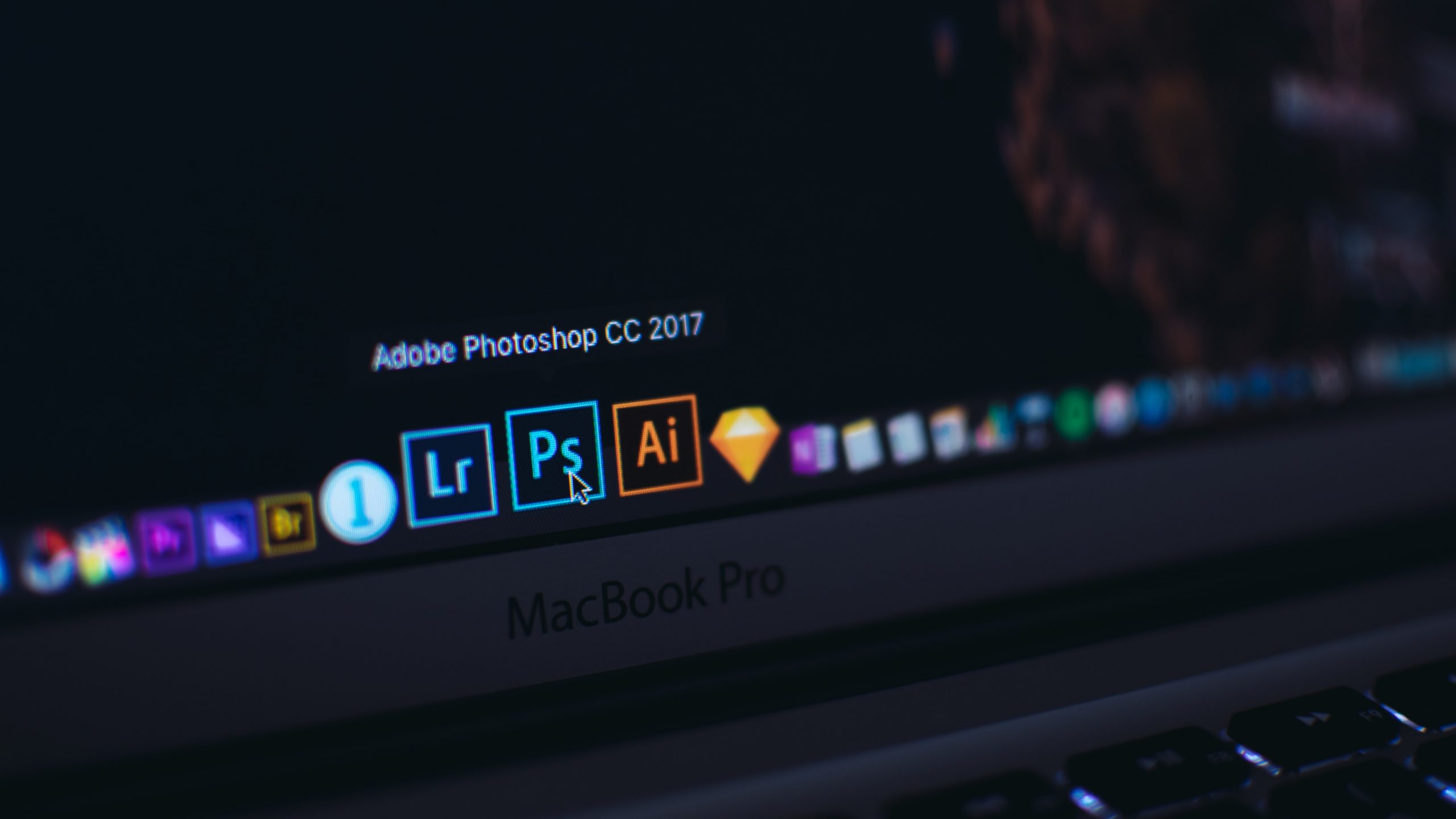 Adobe Create Suite free