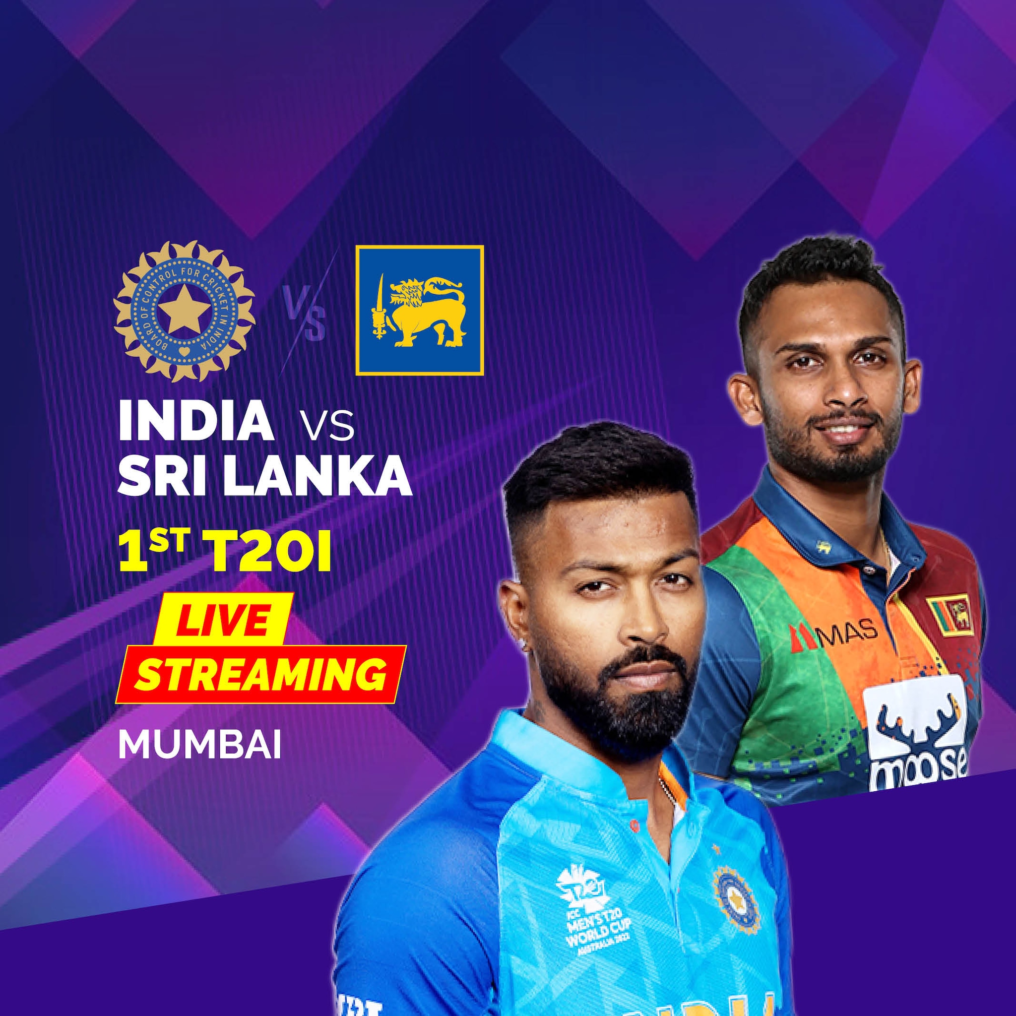 India vs Sri Lanka AlyssaAilith
